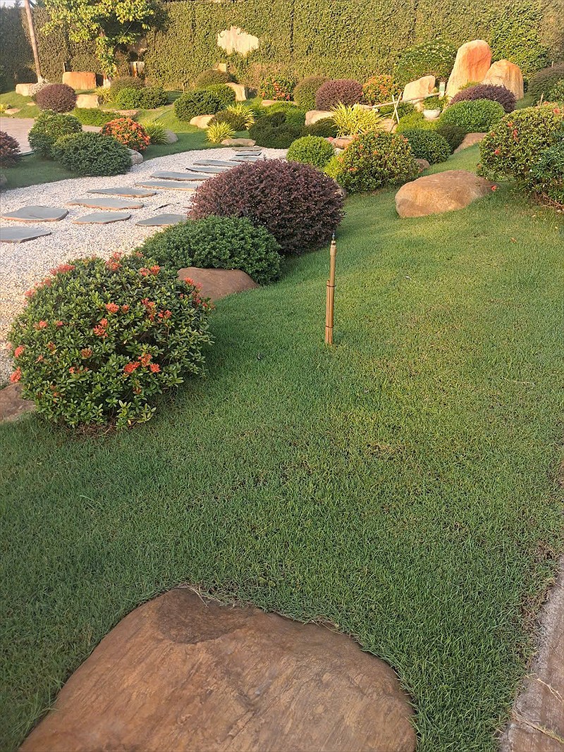 Thảm cỏ xanh kết hợp hoa trồng viền